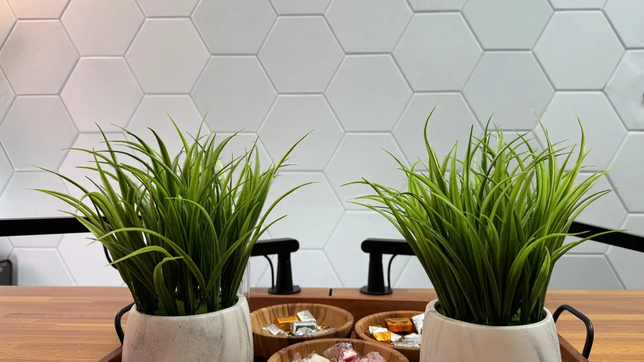 Podcast Studio San Antonio desk with two potted grass plants, wooden snack bowls and black mic arms in front of a white hexagon acoustic wall